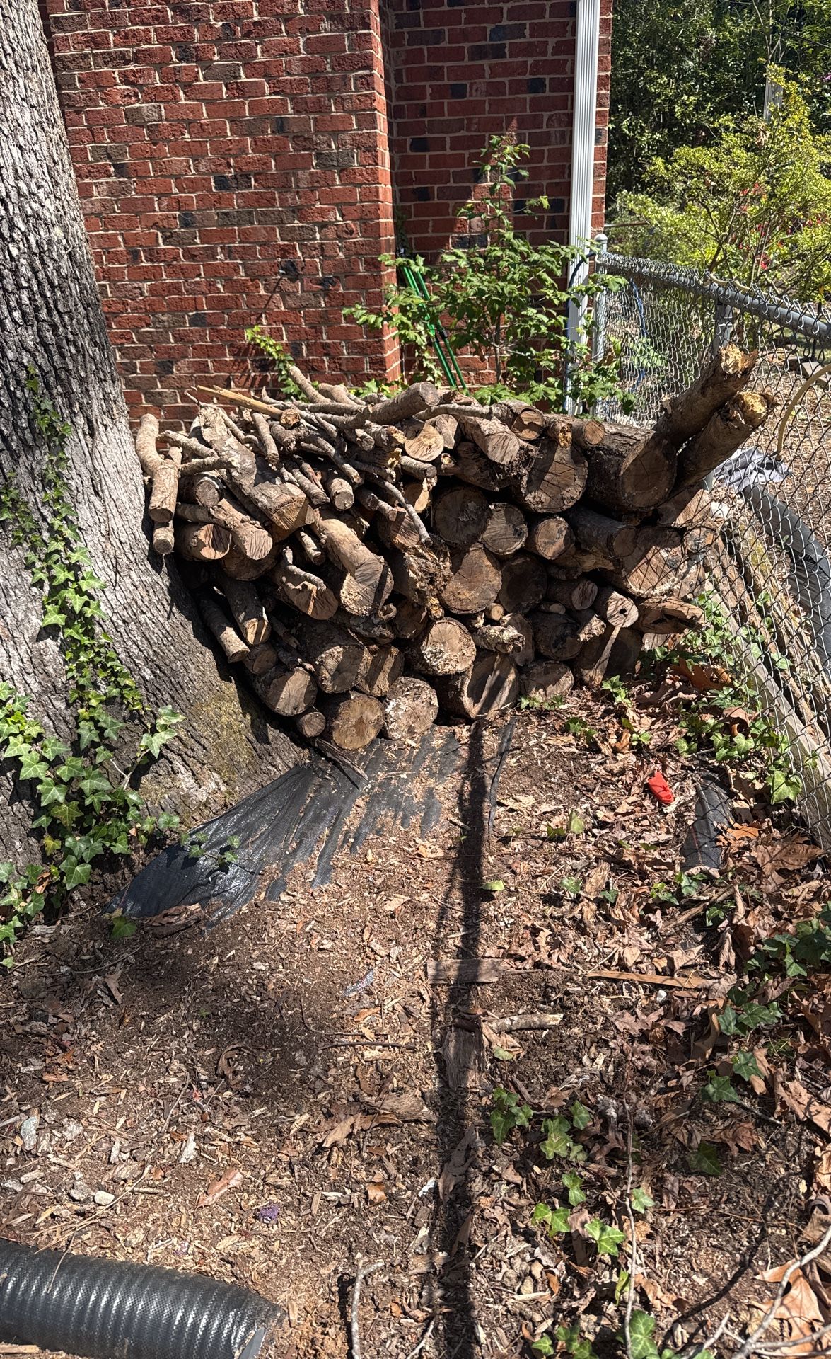 Free Fire Wood Dry