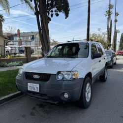 2007 Ford Escape XLT