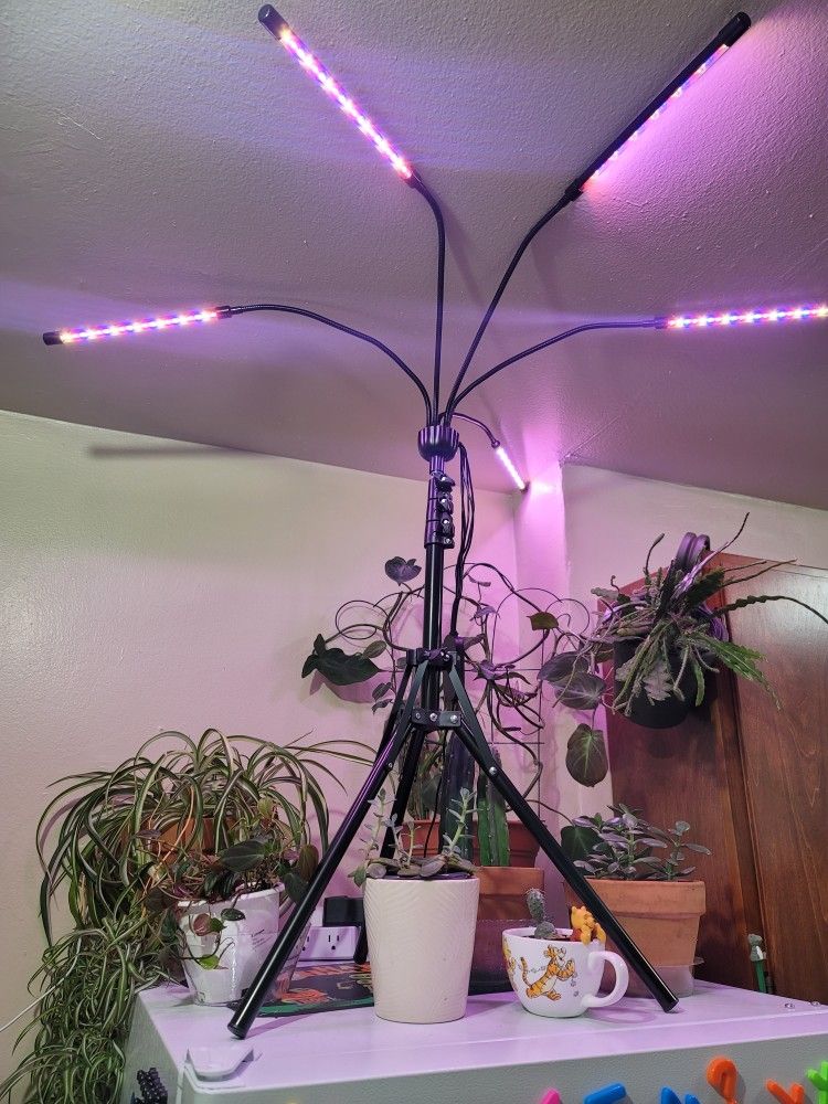 Plant Light