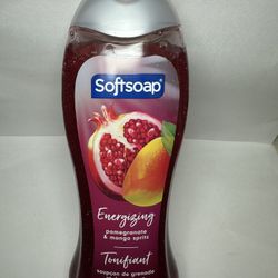 Softsoap Moisturizing Body Wash, All Skin, 20 fl oz Bottle