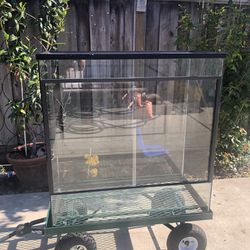 Glass Reptile Tank $300