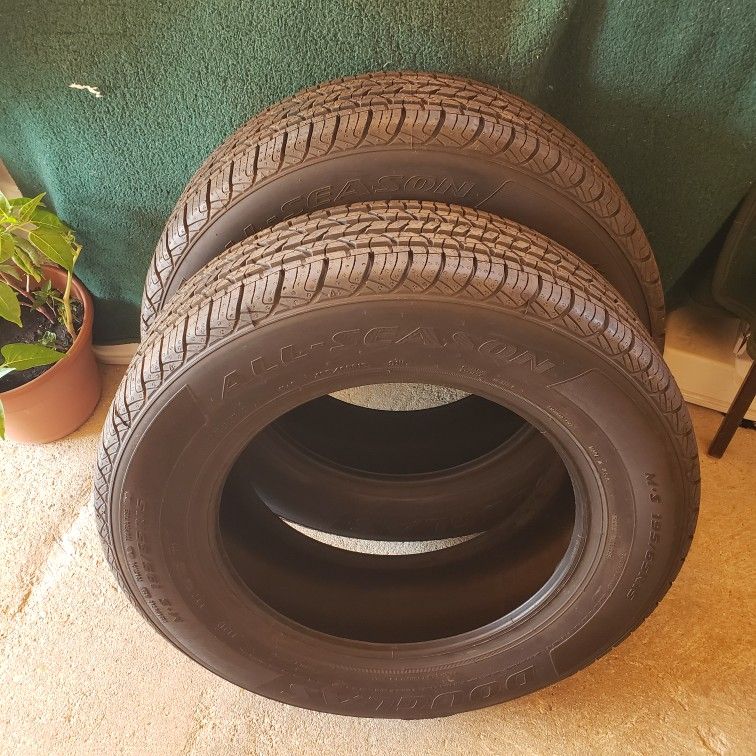(2) New 195/65R15 Douglas All Season Tires