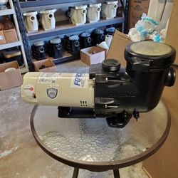 Hayward Pool Pump