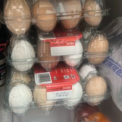 Fresh Eggs