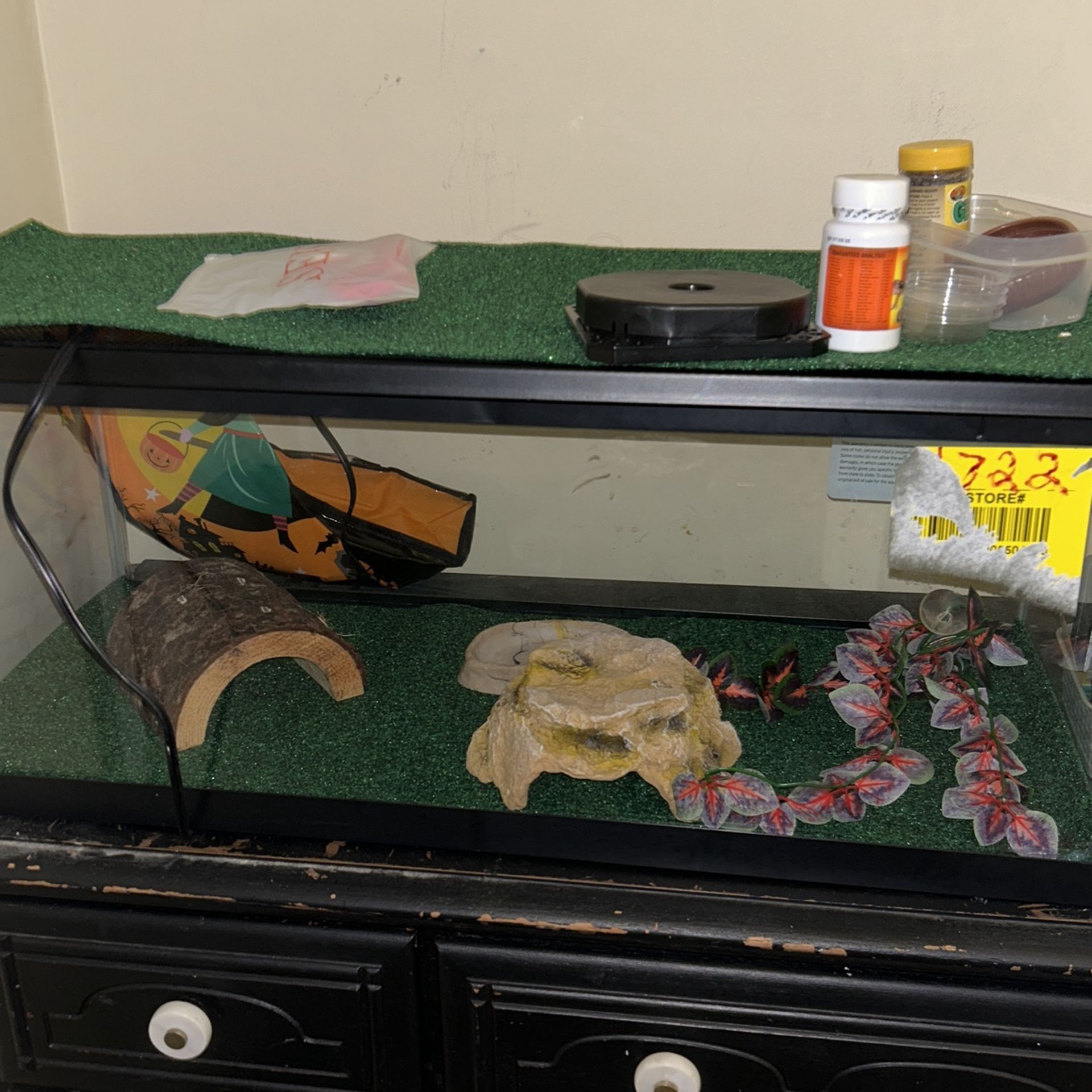 Reptile Tank