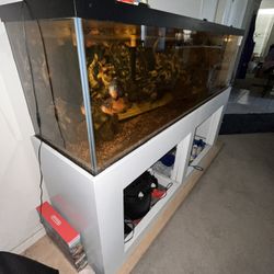 250 Gallon Fish Tank