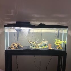 55 gallon fish tank and stand 