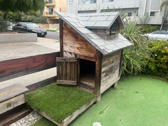 Dog House