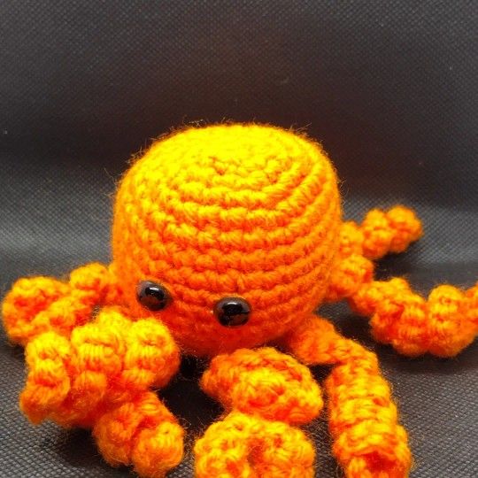  Octopus 