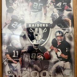 NFL Raiders 2001 Photo file