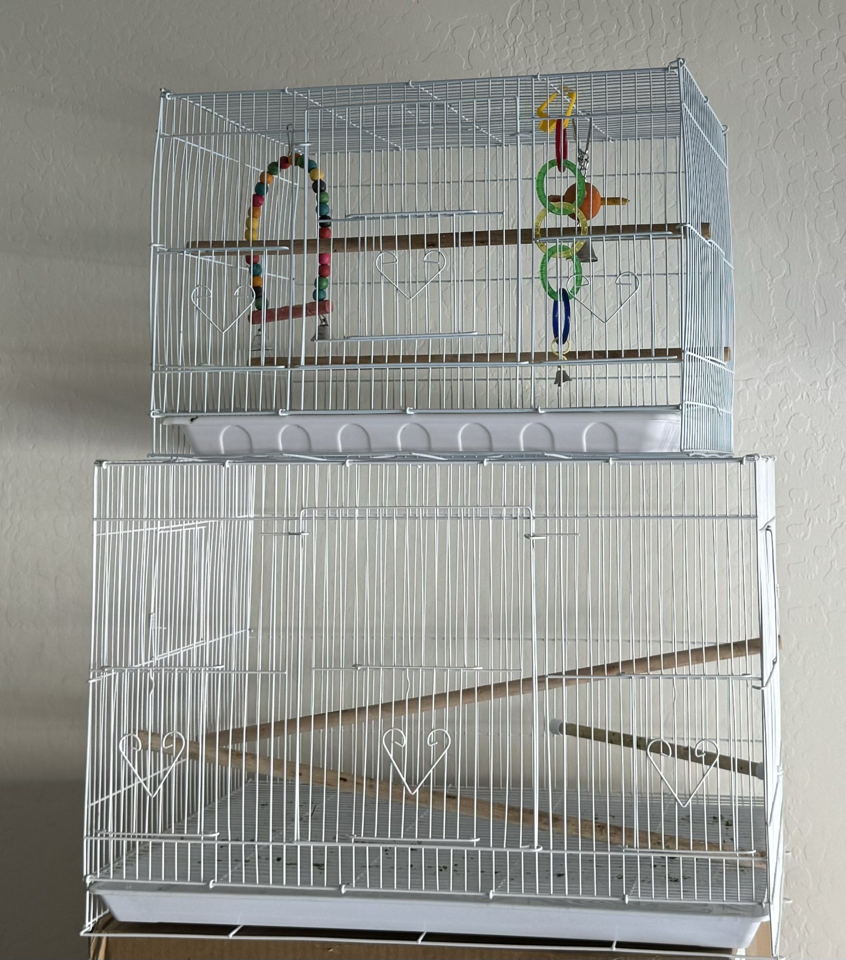 Bird Cage 