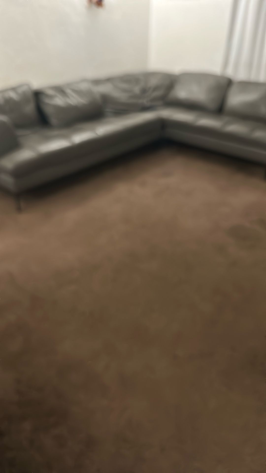Leather lSectional Couch 