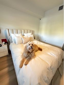 Cama Queen