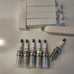 NGK Iridiuim Spark Plugs