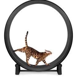 One Fast Cat - Cat Exercise Wheel