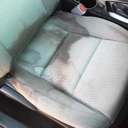 Interior Vac Steam Shampoo Detail