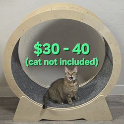 Cat Exercise Wheel