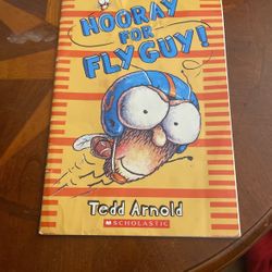 Hooray for fly guy book
