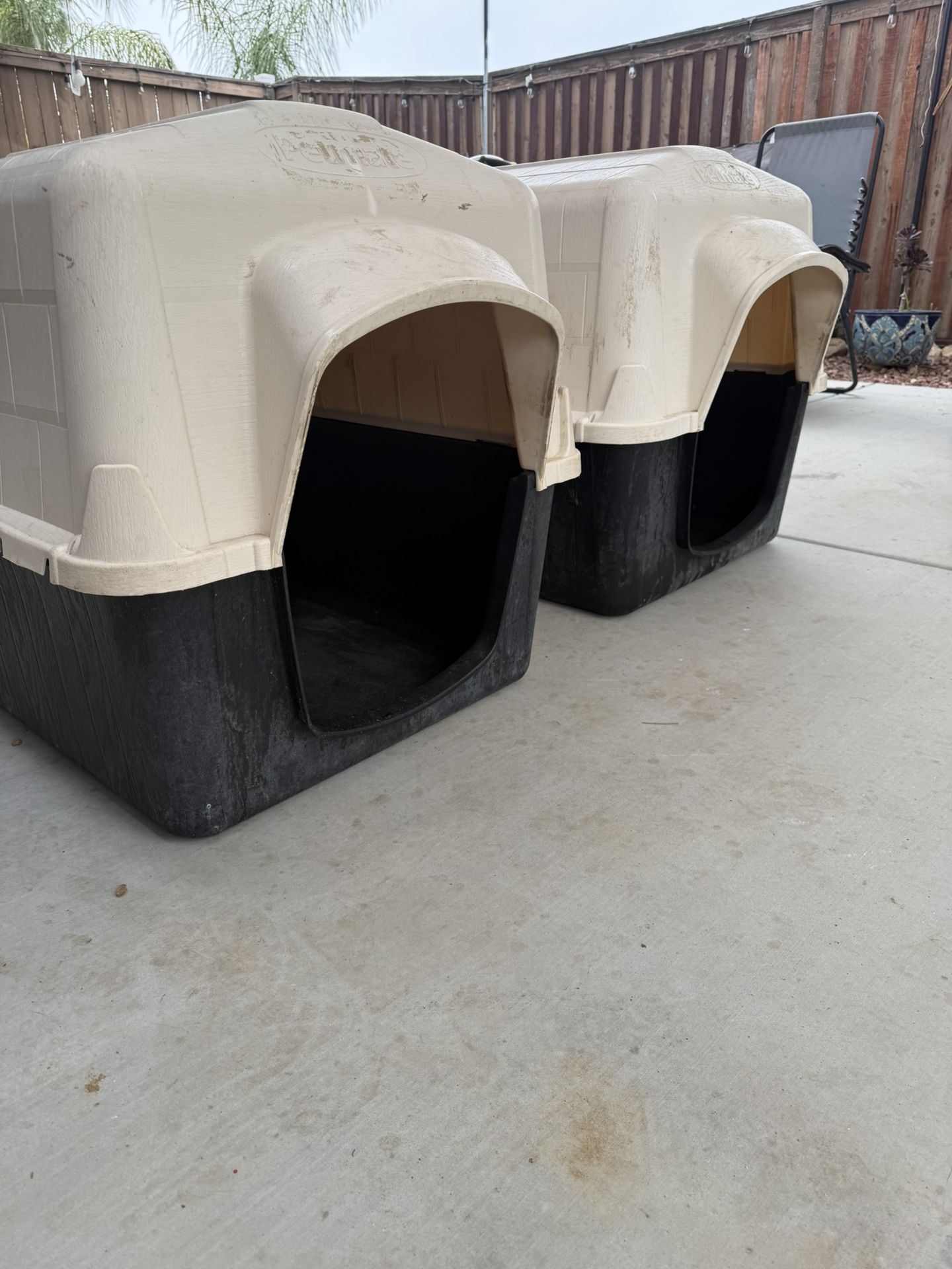 Dog house 