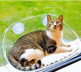 Wholesale Only - Transparent Cat Window Perch Hammock – 200 Units Available | $2.50 Each