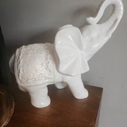 Elephant 