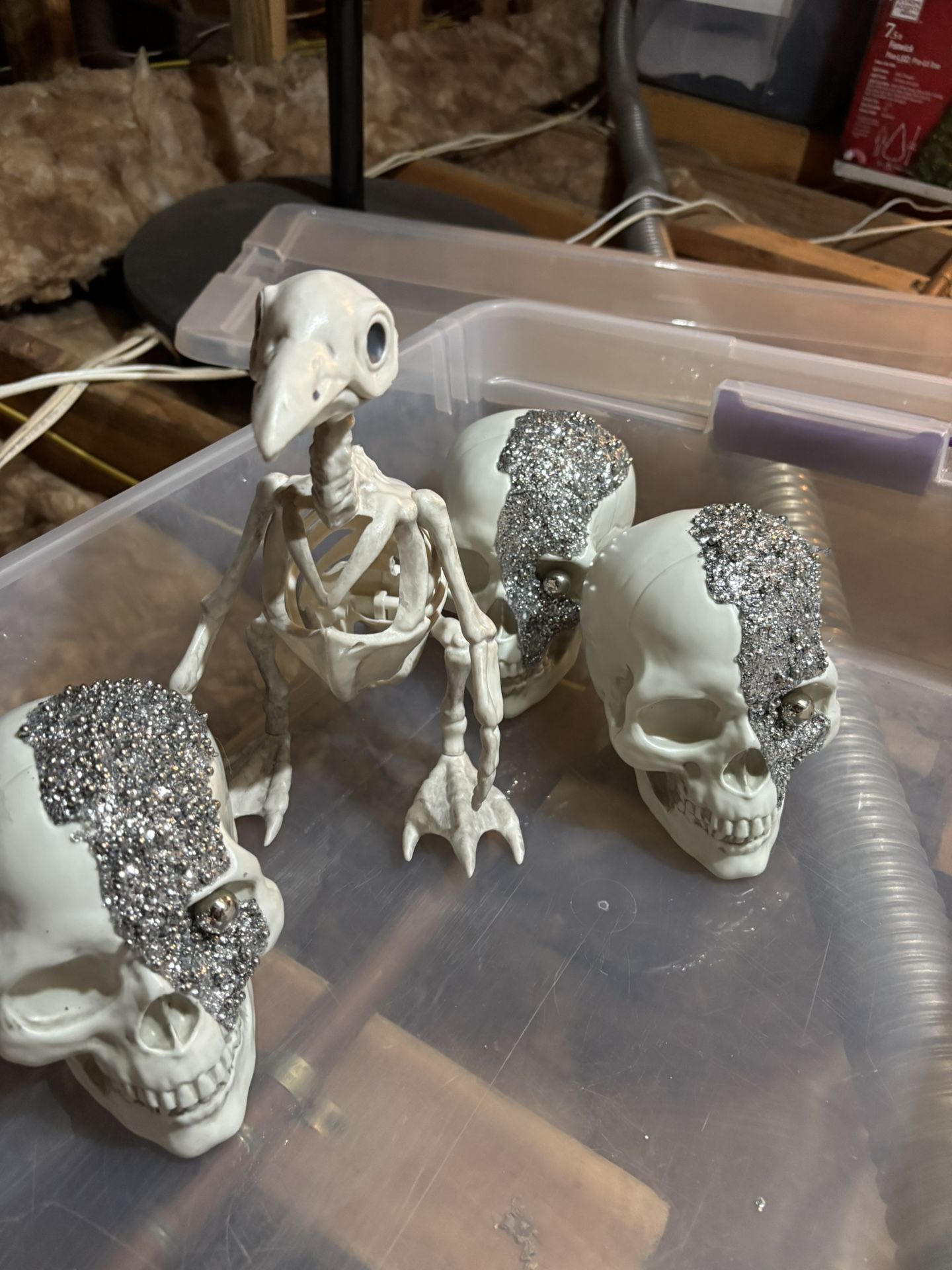 Halloween Decorations 