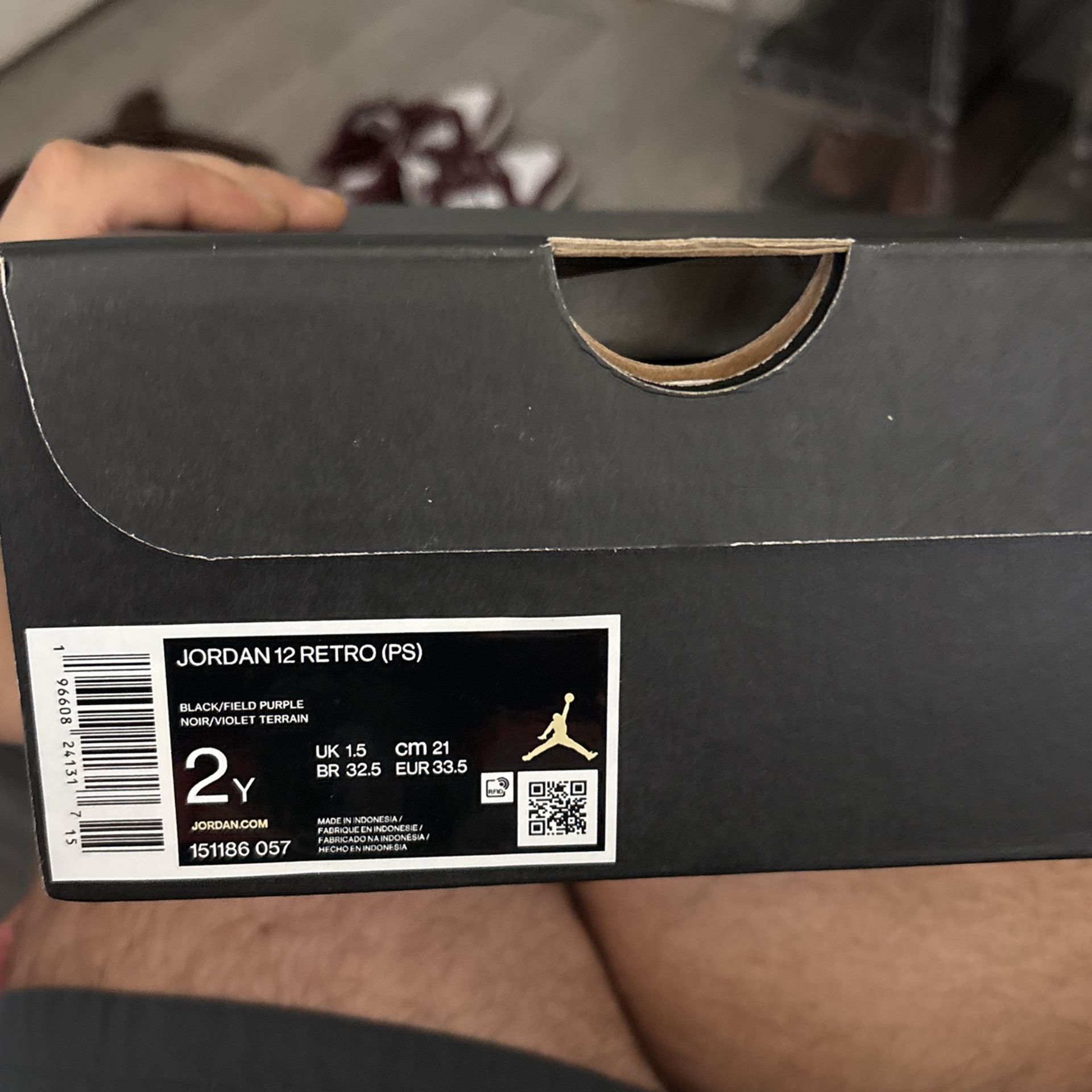 Jordan 12 Retro (PS)