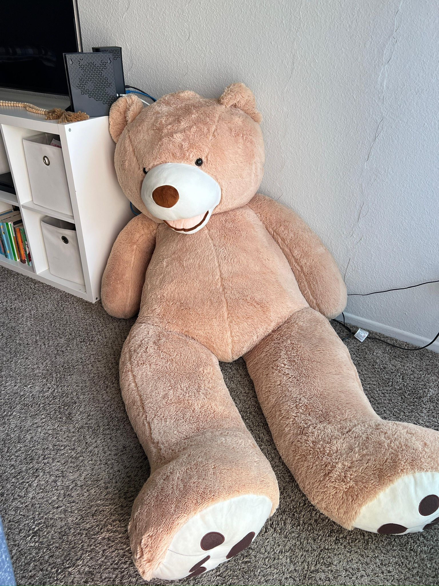 Teddy Bear