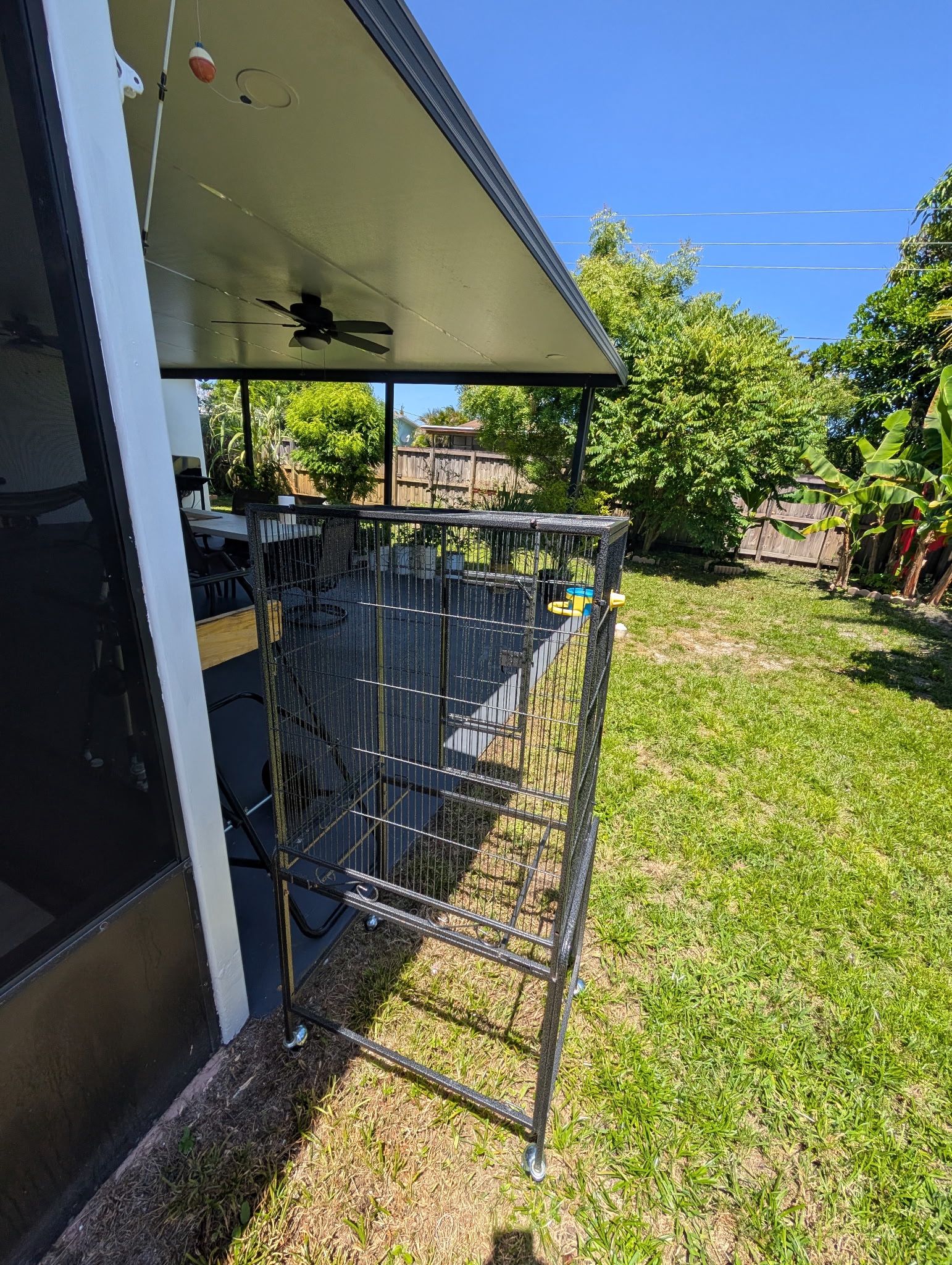 Bird Cage Must Go