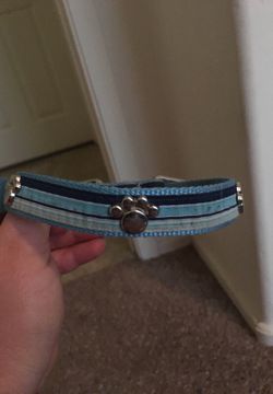 Medium size Dog collar