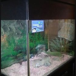 55 Gallon Aquarium 