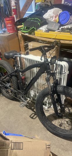 Rad power e bike