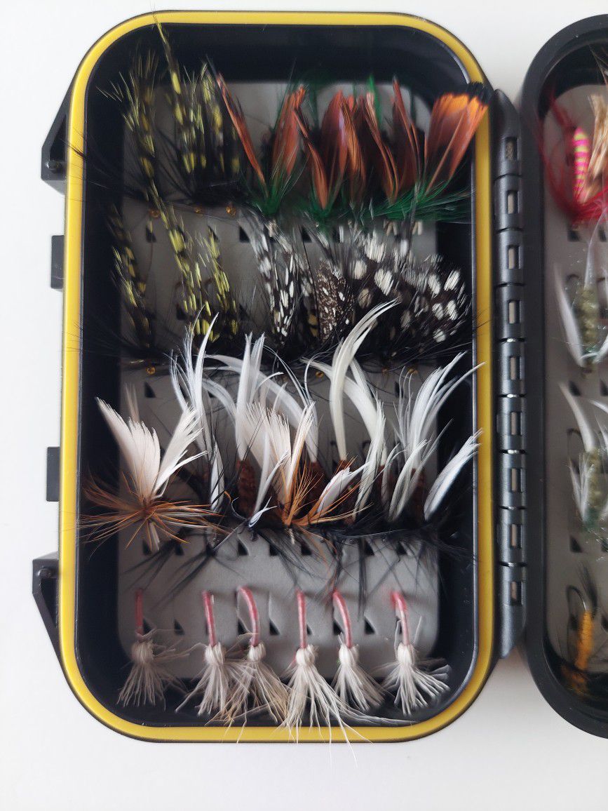 Trout Salmon Fly Fishing Flies Assortment Of 60pcs With Tackle Box for Sale  in Gurnee, IL - OfferUp