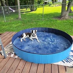 NEW Dog Pool Kiddie Pool 