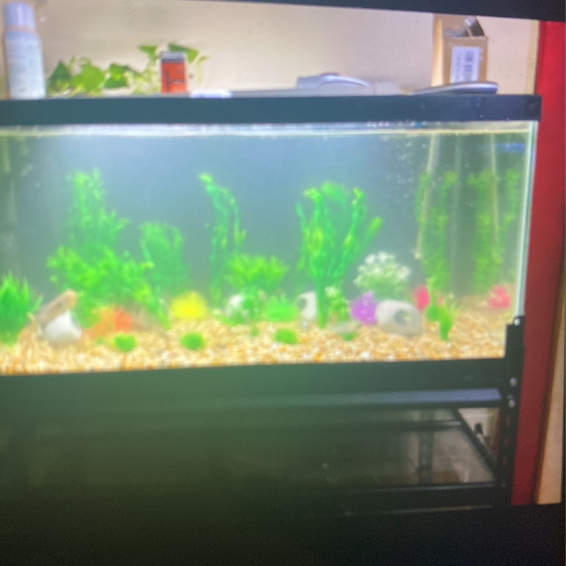3. 40 Gallon Breeder Fish Tank