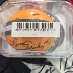 Lynn Dickey Mini Helmet