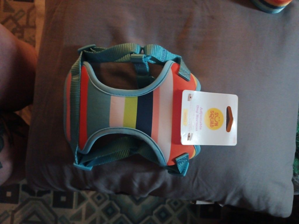 Small Dog Harness & Leash