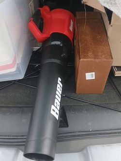 Bauer