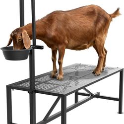 Upgrade Goat Milk Stand with Feed Bin, 600lbs Goat Stand for Grooming & Hoof Trimming, 1mm Thick Platform & Anti-Slip Design, Goat Grooming Stand with