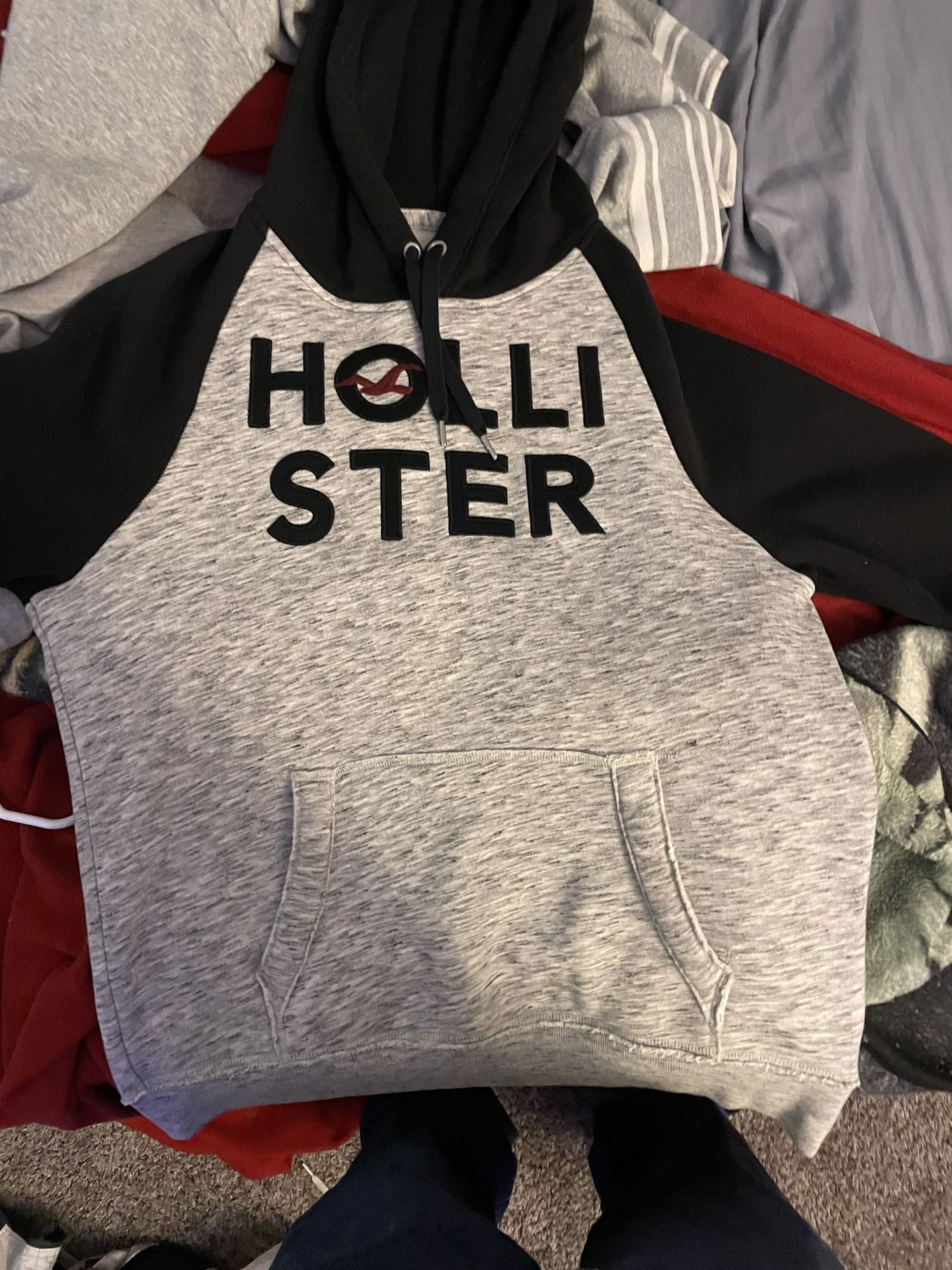 Mens Hollister Hoodie