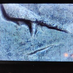 Eisenhower Bicentennial dollar With Striking Error On The Eye Circulated Type 1