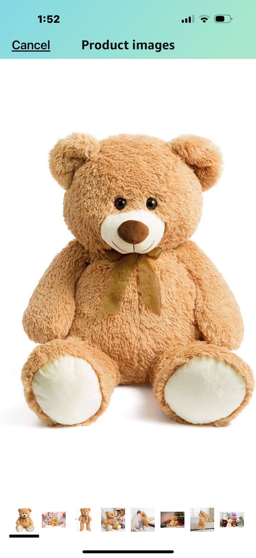 Teddy Bear