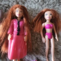 Polly Pocket Dolls