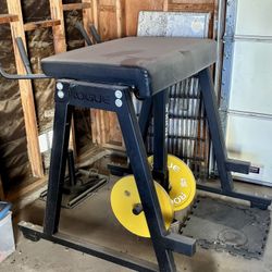 Divorce Sale For Quality Rogue equipment