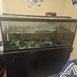 55" Fish Tank