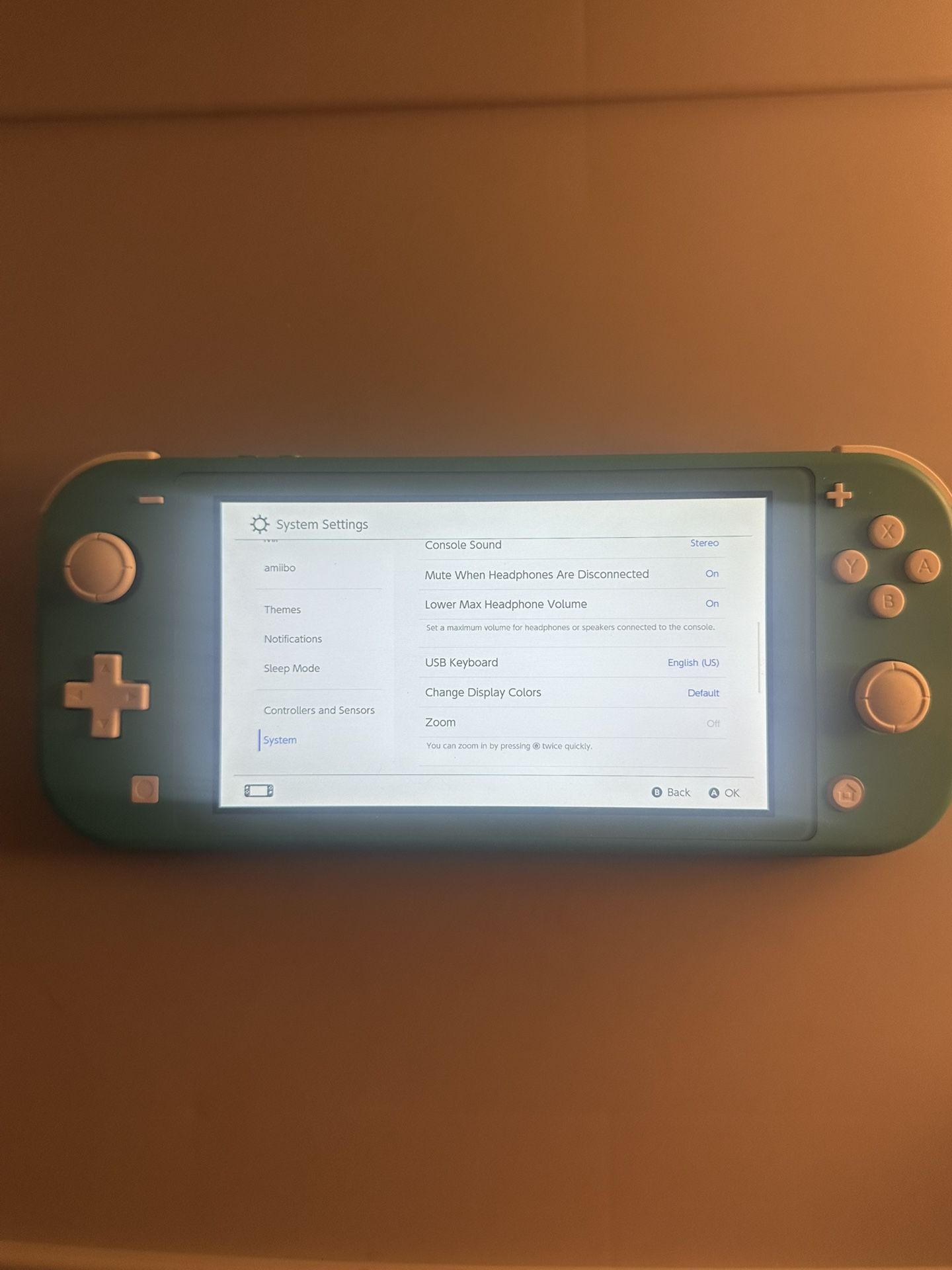 Switch Lite With Carrying Case