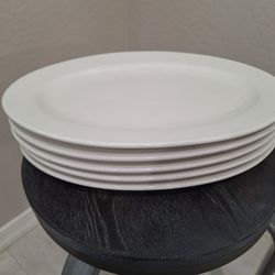 11.5". x 16" Oval Ceramic Platters (Restaurant Style Plates)