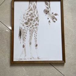 16x20 Picture Frame
