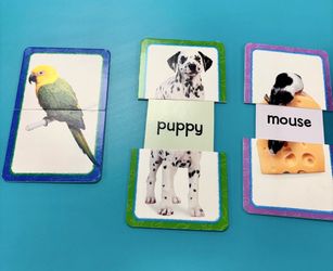 Elmo Pets Slide & Learn Cards-classroom, Learning, teacher, vocabulary, animals