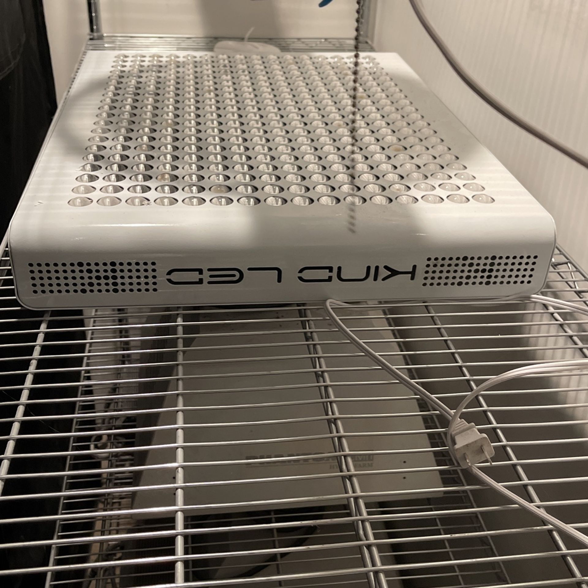 KIND LED Grow Light OBO